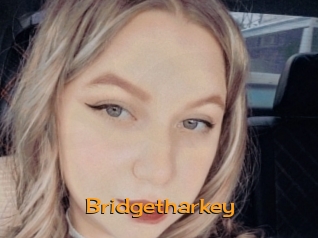 Bridgetharkey
