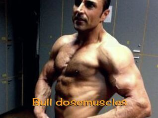 Bull_dosemuscles