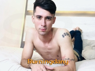 Burningdany