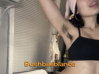 Bushbaeblanca