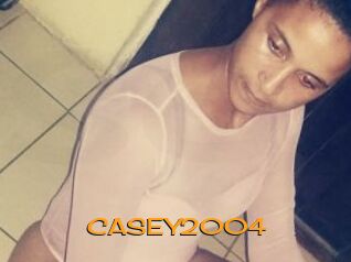 CASEY2004