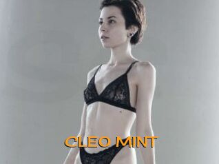 CLEO_MINT