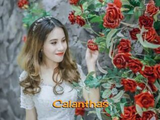 Calanthas Sortez Couvert
