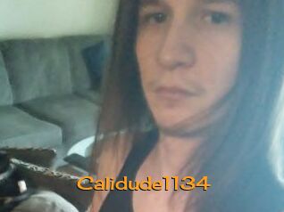 Calidude1134