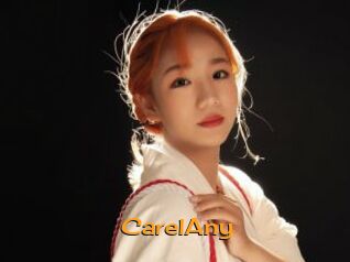 CarelAny Sortez Couvert