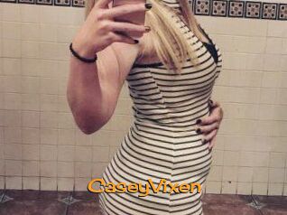 CaseyVixen