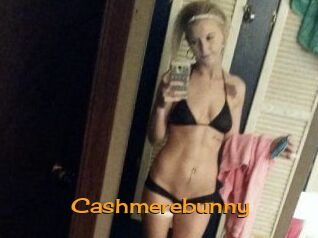 Cashmerebunny