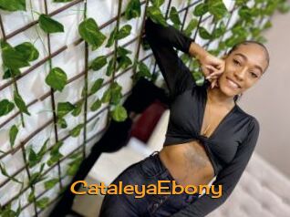 CataleyaEbony