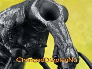 ChangedDisplayNu