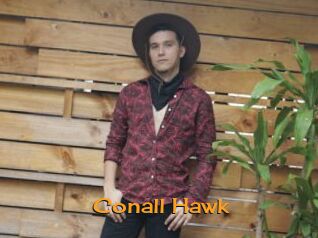 Conall_Hawk