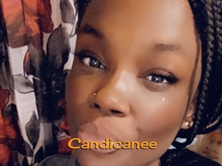 Candicanee