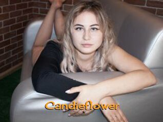 Candieflower