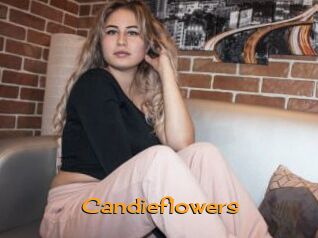 candieflowers Sortez Couvert