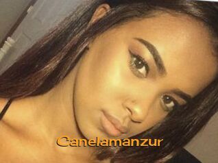 Canelamanzur