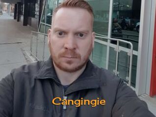 Cangingie