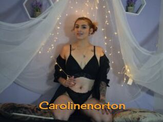 carolinenorton Sortez Couvert