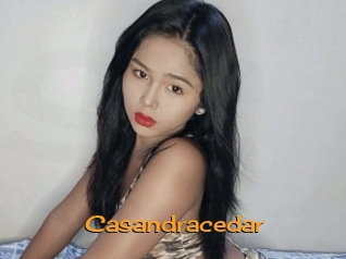 Casandracedar