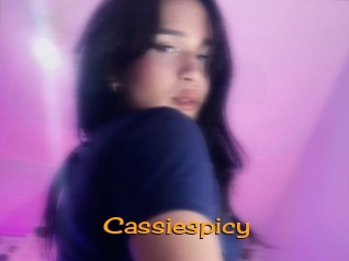 cassiespicy Sortez Couvert