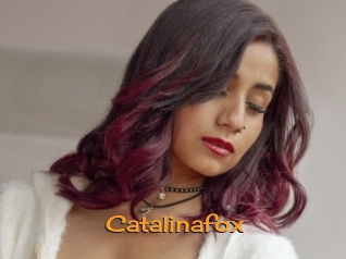 Catalinafox