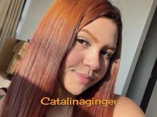 Catalinaginger