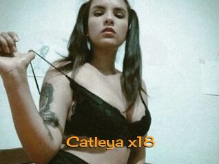Catleya_x18