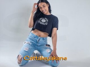 cattaleyakane Sortez Couvert