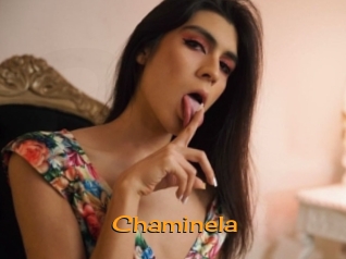 chaminela Sortez Couvert