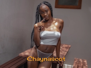 Chaynascot
