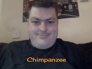 Chimpanzee