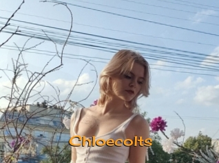 Chloecolts