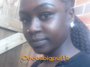 Cocoabigpuffs