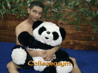 Collegegaym
