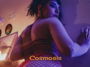 Cosmosis