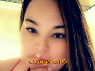 Cougar816
