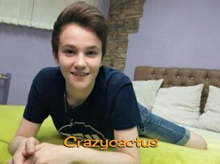 Crazycactus