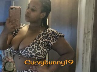 Curvybunny19