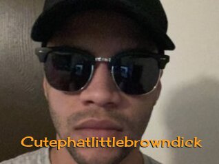 Cutephatlittlebrowndick