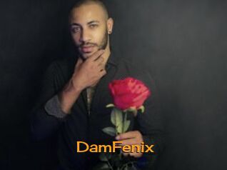 DamFenix