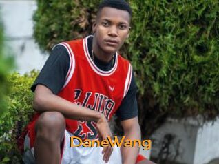 DaneWang