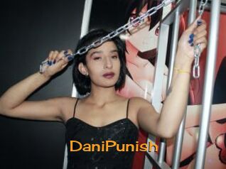 DaniPunish