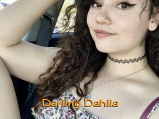 Darling_Dahlia