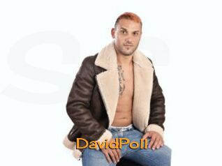 DavidPoll