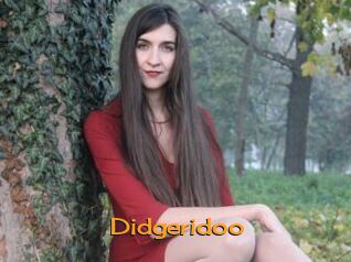Didgeridoo