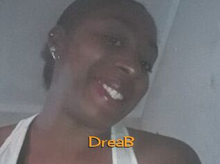 DreaB Sortez Couvert