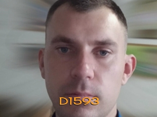 D1593