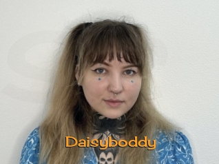 Daisyboddy