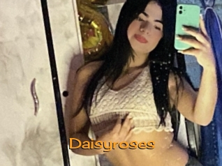 daisyroses Sortez Couvert