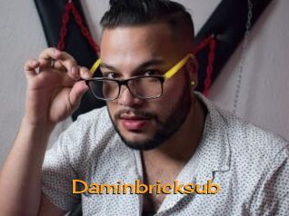 Daminbricksub