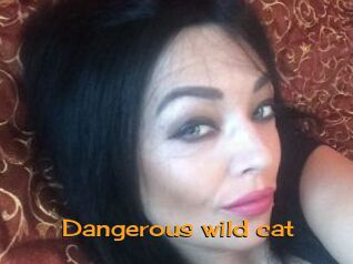 Dangerous_wild_cat