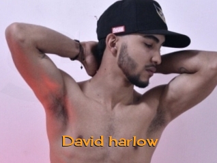david_harlow Sortez Couvert